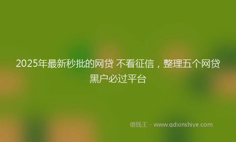 2025年最新秒批的网贷 不看征信，整理五个网贷黑户必过平台