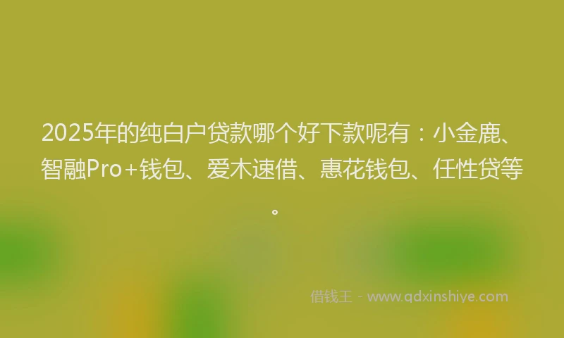 2025年的纯白户贷款哪个好下款呢有：小金鹿、智融Pro+钱包、爱木速借、惠花钱包、任性贷等。