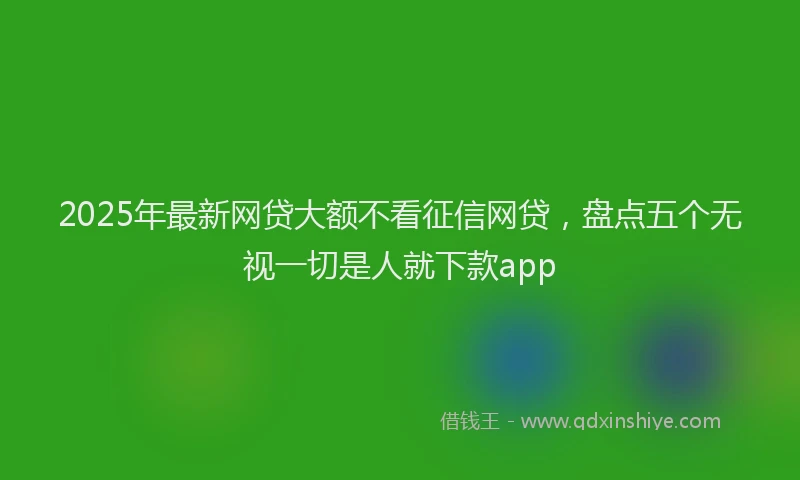 2025年最新网贷大额不看征信网贷，盘点五个无视一切是人就下款app