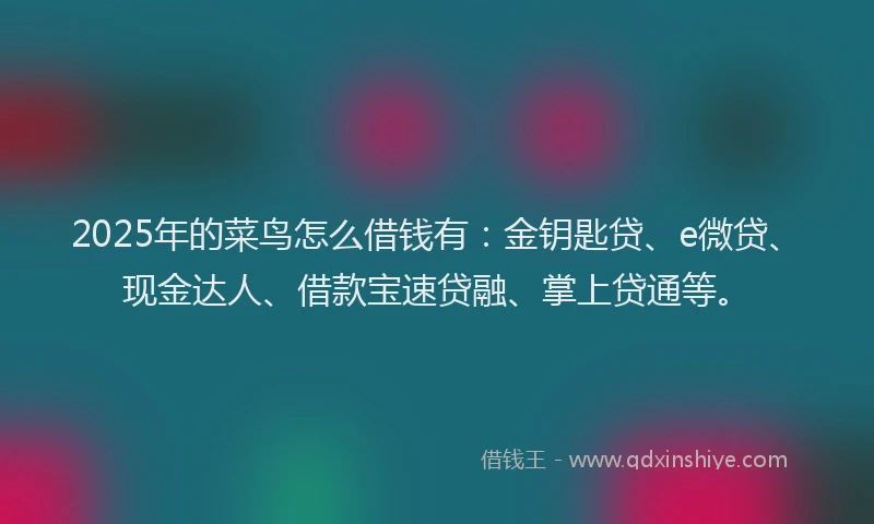 2025年的菜鸟怎么借钱有：金钥匙贷、e微贷、现金达人、借款宝速贷融、掌上贷通等。