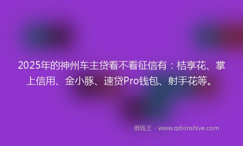 2025年的神州车主贷看不看征信有：桔享花、掌上信用、金小豚、速贷Pro钱包、射手花等。