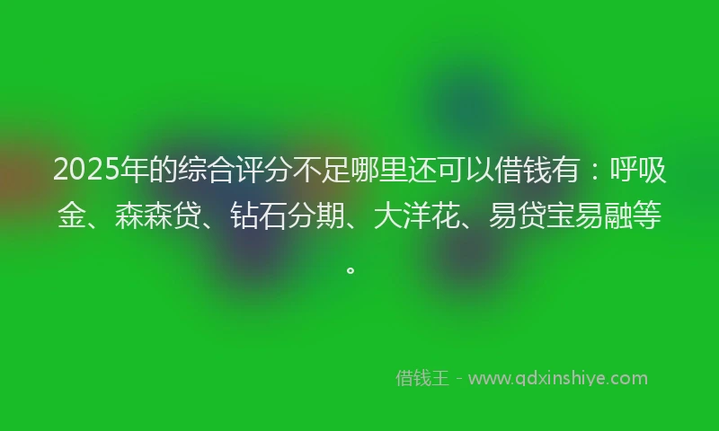2025年的综合评分不足哪里还可以借钱有：呼吸金、森森贷、钻石分期、大洋花、易贷宝易融等。