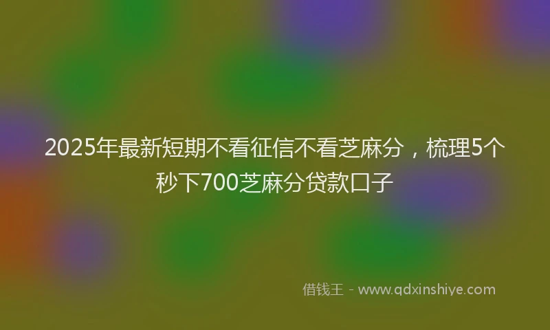2025年最新短期不看征信不看芝麻分，梳理5个秒下700芝麻分贷款口子