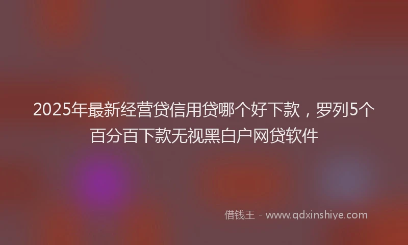 2025年最新经营贷信用贷哪个好下款，罗列5个百分百下款无视黑白户网贷软件