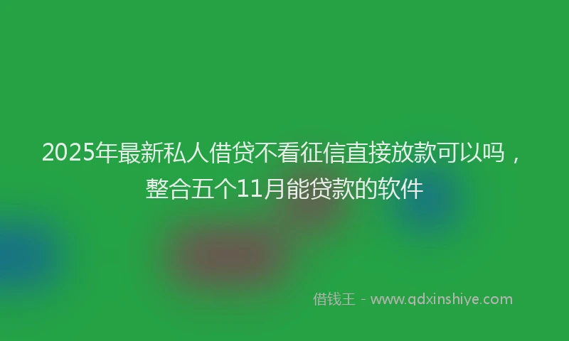 2025年最新私人借贷不看征信直接放款可以吗，整合五个11月能贷款的软件