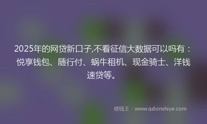 2025年的网贷新口子,不看征信大数据可以吗有：悦享钱包、随行付、蜗牛租机、现金骑士、洋钱速贷等。