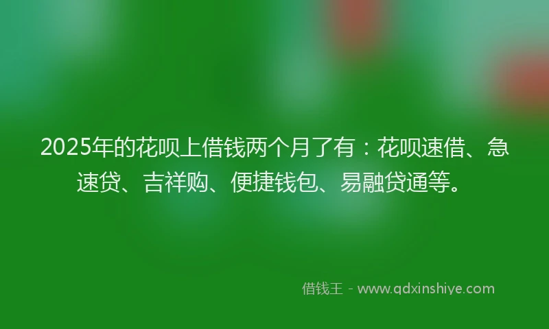 2025年的花呗上借钱两个月了有：花呗速借、急速贷、吉祥购、便捷钱包、易融贷通等。