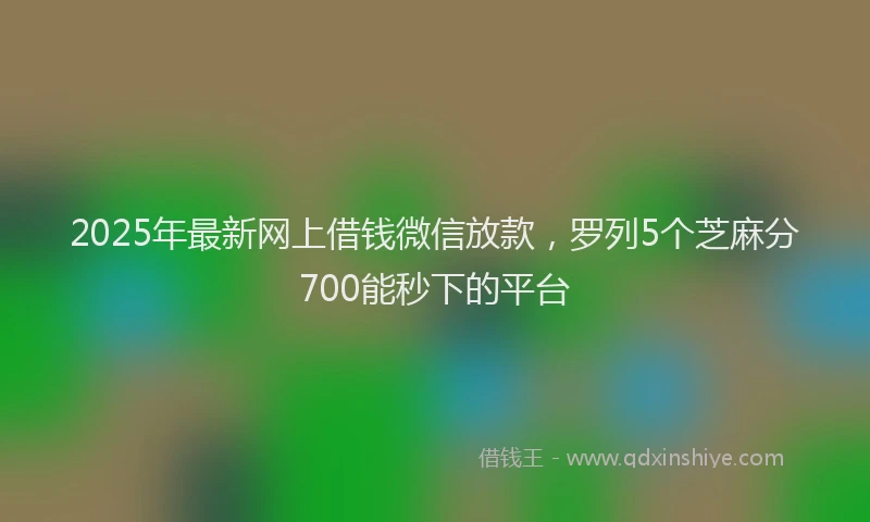 2025年最新网上借钱微信放款，罗列5个芝麻分700能秒下的平台