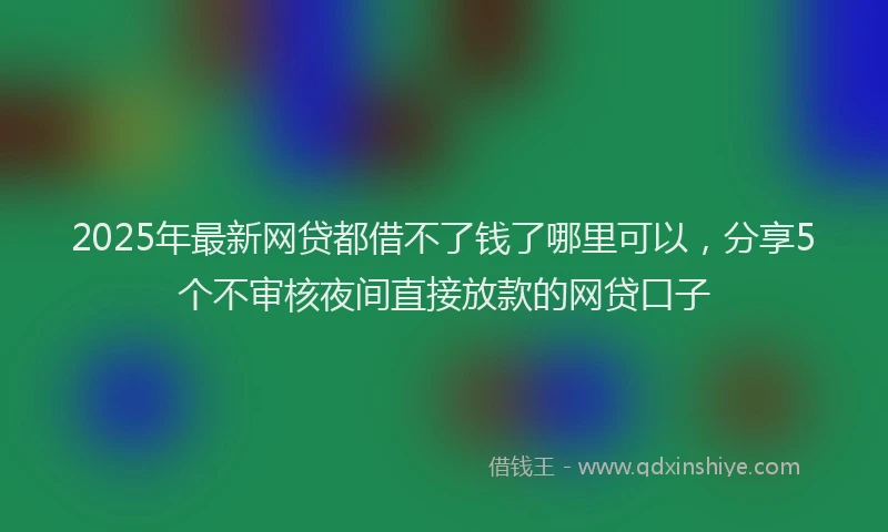 2025年最新网贷都借不了钱了哪里可以，分享5个不审核夜间直接放款的网贷口子