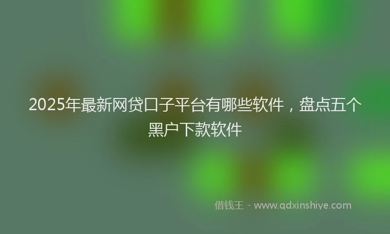 2025年最新网贷口子平台有哪些软件，盘点五个黑户下款软件
