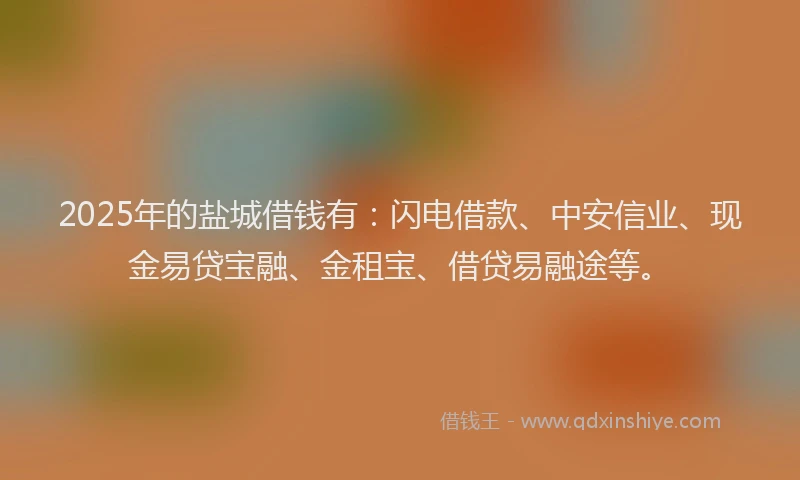 2025年的盐城借钱有：闪电借款、中安信业、现金易贷宝融、金租宝、借贷易融途等。