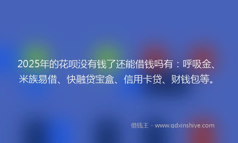 2025年的花呗没有钱了还能借钱吗有：呼吸金、米族易借、快融贷宝盒、信用卡贷、财钱包等。