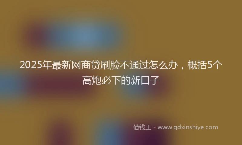 2025年最新网商贷刷脸不通过怎么办，概括5个高炮必下的新口子