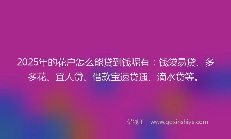 2025年的花户怎么能贷到钱呢有：钱袋易贷、多多花、宜人贷、借款宝速贷通、滴水贷等。