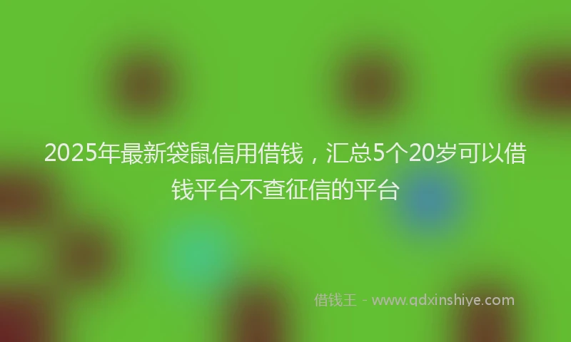 2025年最新袋鼠信用借钱，汇总5个20岁可以借钱平台不查征信的平台