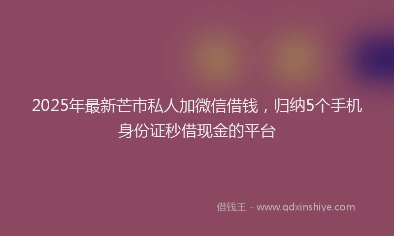 2025年最新芒市私人加微信借钱，归纳5个手机身份证秒借现金的平台