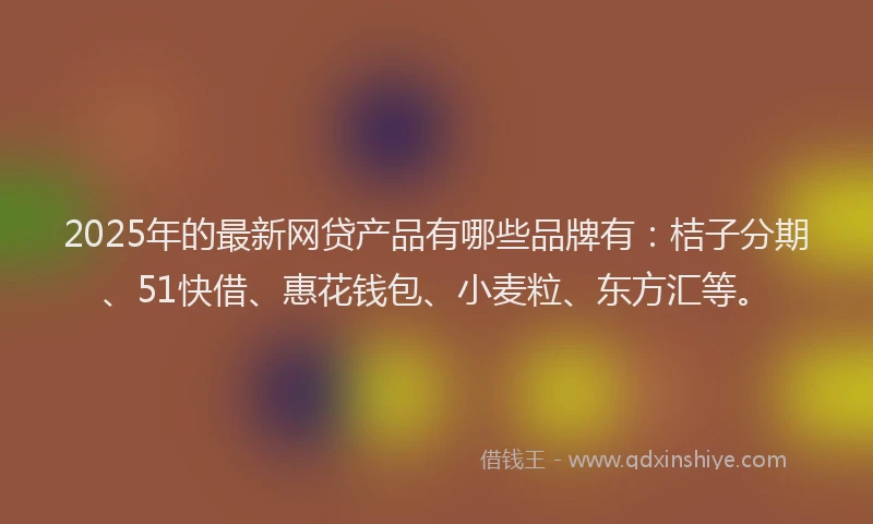 2025年的最新网贷产品有哪些品牌有：桔子分期、51快借、惠花钱包、小麦粒、东方汇等。