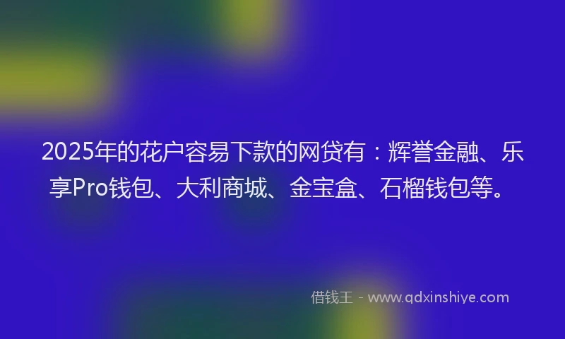 2025年的花户容易下款的网贷有：辉誉金融、乐享Pro钱包、大利商城、金宝盒、石榴钱包等。