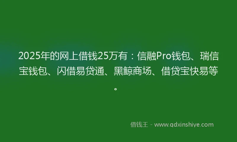 2025年的网上借钱25万有：信融Pro钱包、瑞信宝钱包、闪借易贷通、黑鲸商场、借贷宝快易等。