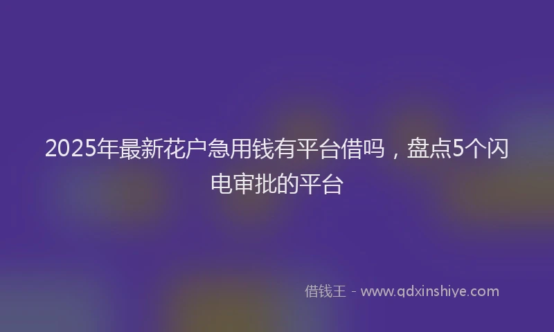 2025年最新花户急用钱有平台借吗，盘点5个闪电审批的平台