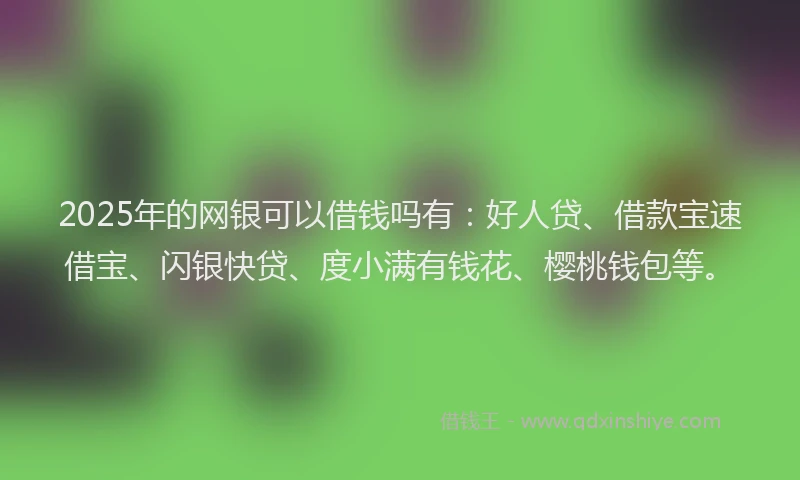 2025年的网银可以借钱吗有：好人贷、借款宝速借宝、闪银快贷、度小满有钱花、樱桃钱包等。