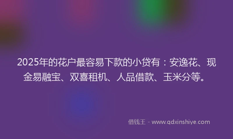 2025年的花户最容易下款的小贷有：安逸花、现金易融宝、双喜租机、人品借款、玉米分等。