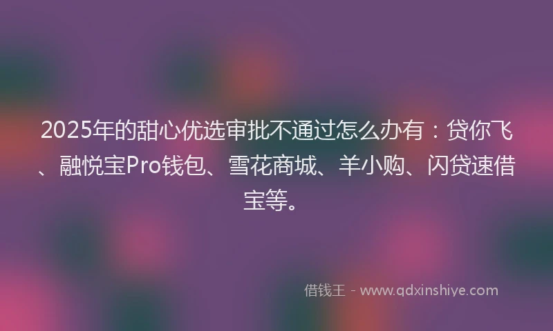 2025年的甜心优选审批不通过怎么办有：贷你飞、融悦宝Pro钱包、雪花商城、羊小购、闪贷速借宝等。