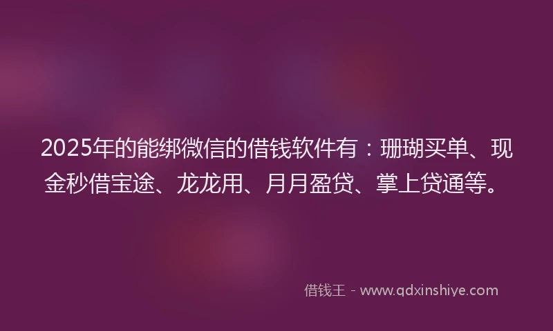 2025年的能绑微信的借钱软件有：珊瑚买单、现金秒借宝途、龙龙用、月月盈贷、掌上贷通等。
