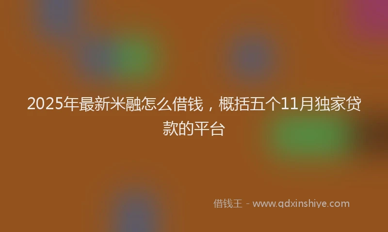 2025年最新米融怎么借钱，概括五个11月独家贷款的平台