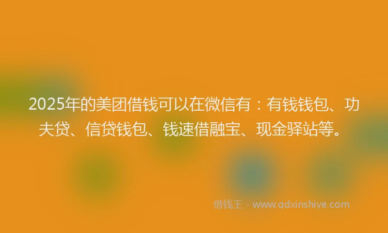 2025年的美团借钱可以在微信有：有钱钱包、功夫贷、信贷钱包、钱速借融宝、现金驿站等。