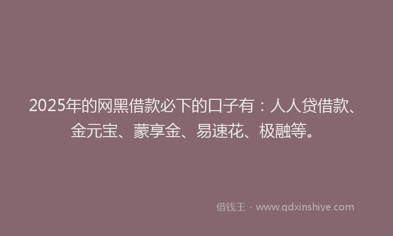 2025年的网黑借款必下的口子有：人人贷借款、金元宝、蒙享金、易速花、极融等。