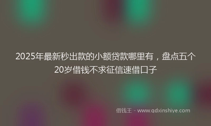 2025年最新秒出款的小额贷款哪里有，盘点五个20岁借钱不求征信速借口子