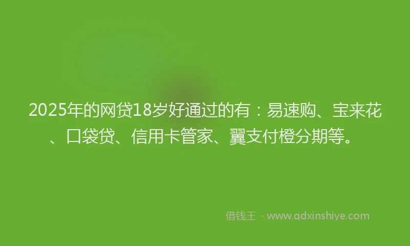 2025年的网贷18岁好通过的有：易速购、宝来花、口袋贷、信用卡管家、翼支付橙分期等。
