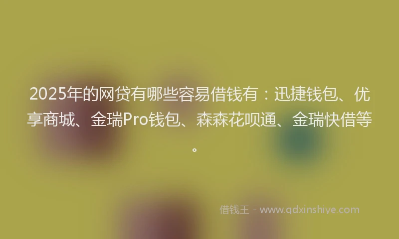 2025年的网贷有哪些容易借钱有：迅捷钱包、优享商城、金瑞Pro钱包、森森花呗通、金瑞快借等。