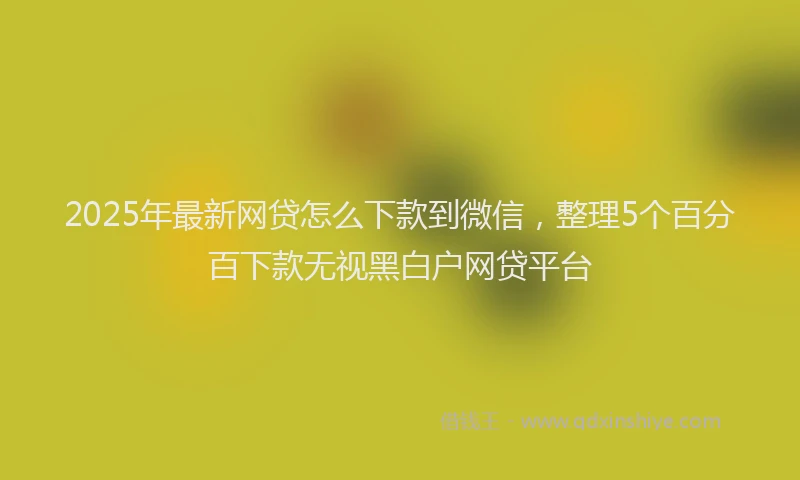 2025年最新网贷怎么下款到微信，整理5个百分百下款无视黑白户网贷平台