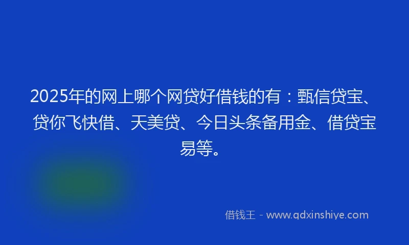 2025年的网上哪个网贷好借钱的有：甄信贷宝、贷你飞快借、天美贷、今日头条备用金、借贷宝易等。