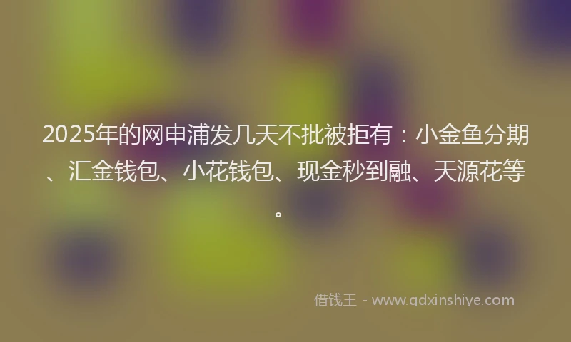 2025年的网申浦发几天不批被拒有：小金鱼分期、汇金钱包、小花钱包、现金秒到融、天源花等。