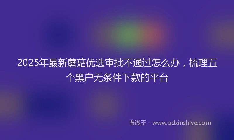 2025年最新蘑菇优选审批不通过怎么办，梳理五个黑户无条件下款的平台