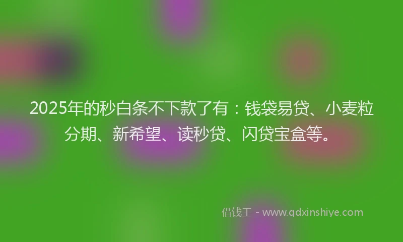 2025年的秒白条不下款了有：钱袋易贷、小麦粒分期、新希望、读秒贷、闪贷宝盒等。
