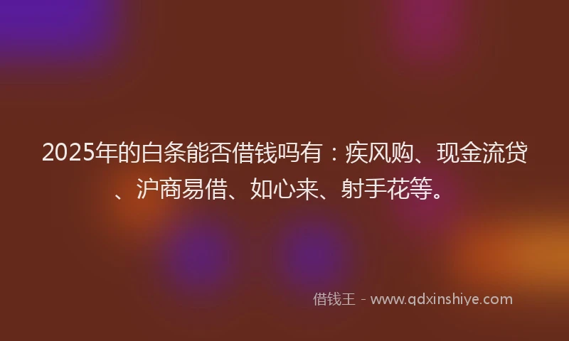 2025年的白条能否借钱吗有：疾风购、现金流贷、沪商易借、如心来、射手花等。