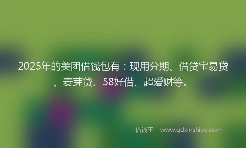 2025年的美团借钱包有：现用分期、借贷宝易贷、麦芽贷、58好借、超爱财等。