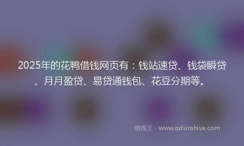 2025年的花鸭借钱网页有：钱站速贷、钱袋瞬贷、月月盈贷、易贷通钱包、花豆分期等。