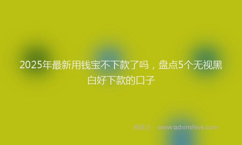 2025年最新用钱宝不下款了吗，盘点5个无视黑白好下款的口子