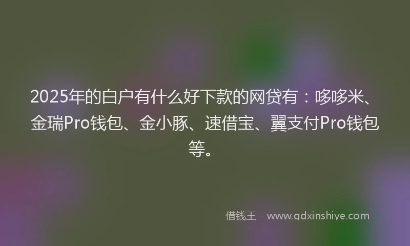 2025年的白户有什么好下款的网贷有：哆哆米、金瑞Pro钱包、金小豚、速借宝、翼支付Pro钱包等。