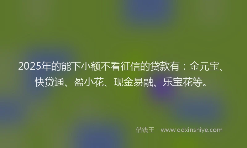 2025年的能下小额不看征信的贷款有：金元宝、快贷通、盈小花、现金易融、乐宝花等。