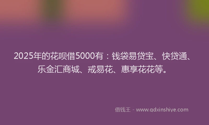 2025年的花呗借5000有：钱袋易贷宝、快贷通、乐金汇商城、戒易花、惠享花花等。