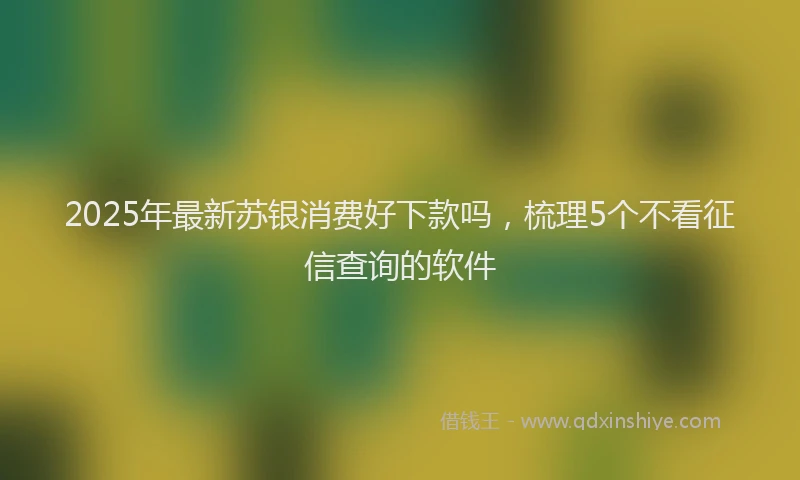 2025年最新苏银消费好下款吗，梳理5个不看征信查询的软件
