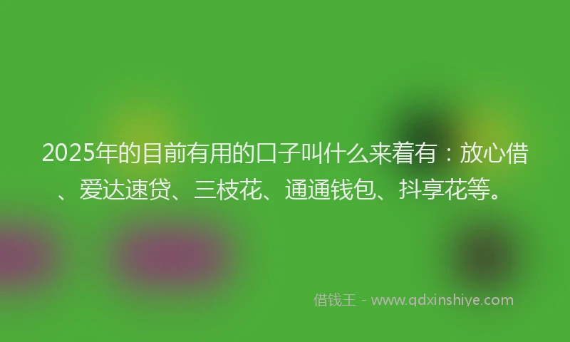 2025年的目前有用的口子叫什么来着有：放心借、爱达速贷、三枝花、通通钱包、抖享花等。