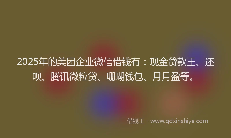 2025年的美团企业微信借钱有：现金贷款王、还呗、腾讯微粒贷、珊瑚钱包、月月盈等。