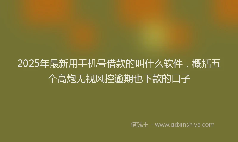 2025年最新用手机号借款的叫什么软件，概括五个高炮无视风控逾期也下款的口子